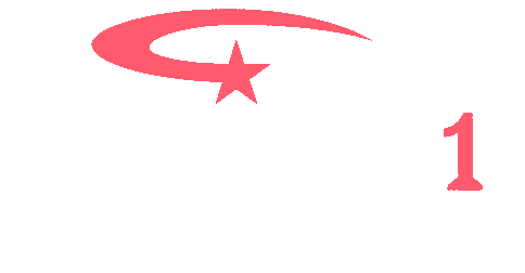Surety One, Inc.